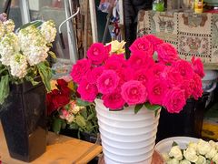 -循礼门鲜花花市(武汉循礼门店)