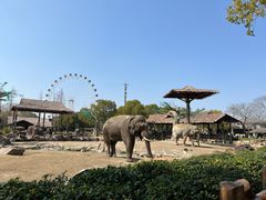 -上海野生动物园