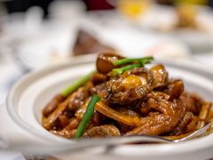 东坡鲍鱼焖凤爪-南麓·浙里(外滩店)