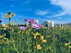 -长安大学(北校区)