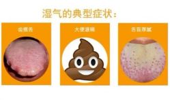 -姜美堂·蒸姜除湿の纤体美颜馆