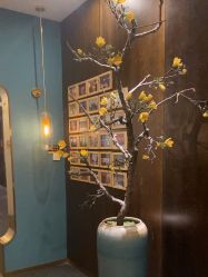 点击看大图 -凤绫儿亲子儿童摄影馆(上海店)