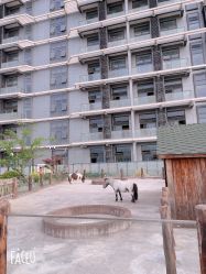 -造物庄园 萌宠纪(苏州湾歌林公园店)