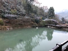 -梦娜斯庄园