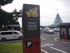 -济州岛泰迪熊博物馆