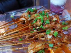 -晓靖轩烧烤(沙河风情店)