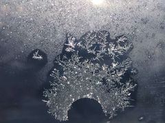 -谢列梅捷沃国际机场