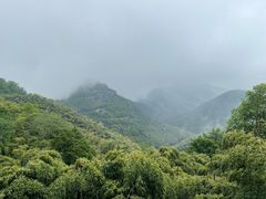 -莫干山风景区