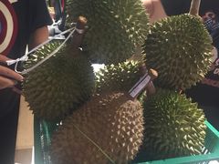 -都念榴莲·城市榴莲