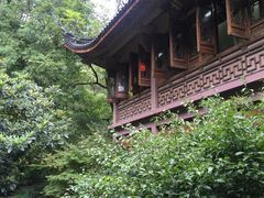 -十八棵（老龙井）御茶园(老龙井店)