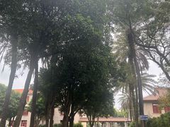 -厦门大学(思明校区)