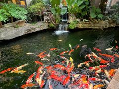 -新世纪大酒楼·30年南海菜