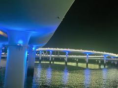 -演武大桥观景平台