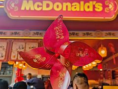 -越秀西湖花市(广州城市广场花卉店)