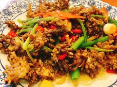 清炒猫爪菇-悠悠美食