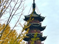 -龙华素斋(龙华路店)