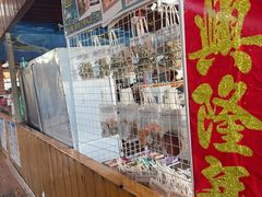 -蓝湾碧波·老字号·疍家非遗海上餐厅