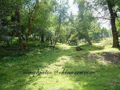 -互助北山国家地质公园漂流