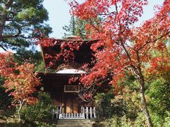 -常寂光寺