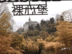 -莫干山风景区