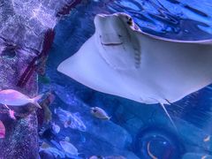 -沈阳海洋探索中心