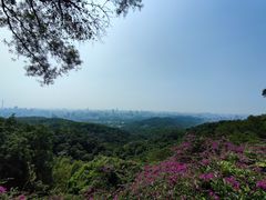 -广州市白云山风景名胜区