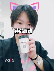 -YESIDO椰岛造型
