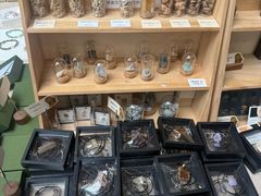 -北京周口店北京人遗址博物馆