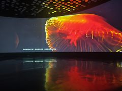 -同济大学四平路校区深海探索馆