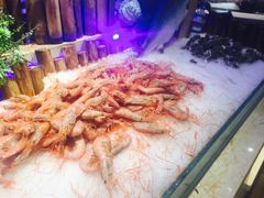 -万象·复兴号鲜肉烤肉海鲜自助(升级店)