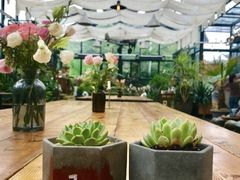 大堂-北马山庄植趣咖啡