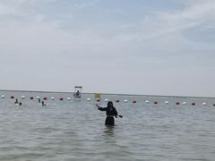 -碧海金沙