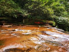 -中国大熊猫保护研究中心雅安碧峰峡基地