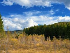 -塞罕坝国家级自然保护区