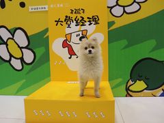 -开元商城(西旺店)