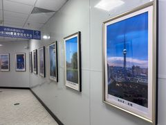 -龙塔