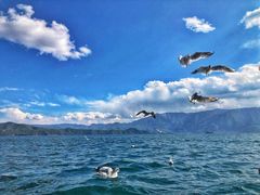 -丽江泸沽湖景区