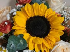 -天猫养车贴膜轻改·蓝电(优匹康桥东路店)