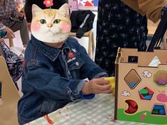 -京师双语幼儿园