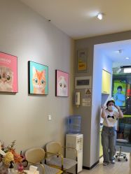 -洗脸猫·洗脸吧