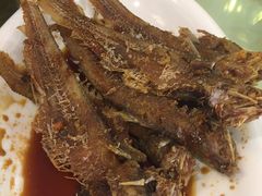 -顺风海鲜港(金玉兰店)