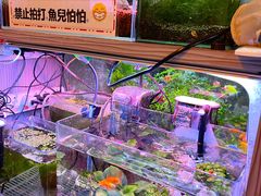 -宜品福州干拌面