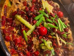 老板恋上鱼-老板恋上鱼(恒隆广场店)