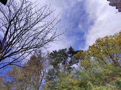 -终南山南五台景区