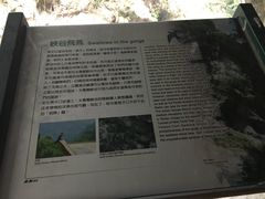 -太鲁阁公园
