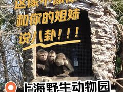 -上海野生动物园