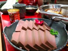谭公鸭血-谭鸭血老火锅(七宝万科广场店)