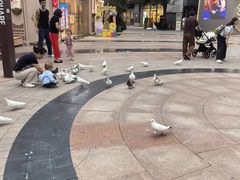 -中粮·祥云小镇