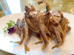 -上海总会SHANGHAICLUB(兴业太古汇店)