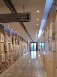 -上海首尔丽格医疗美容医院